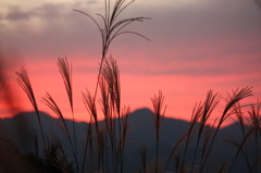秋の夕暮れ
