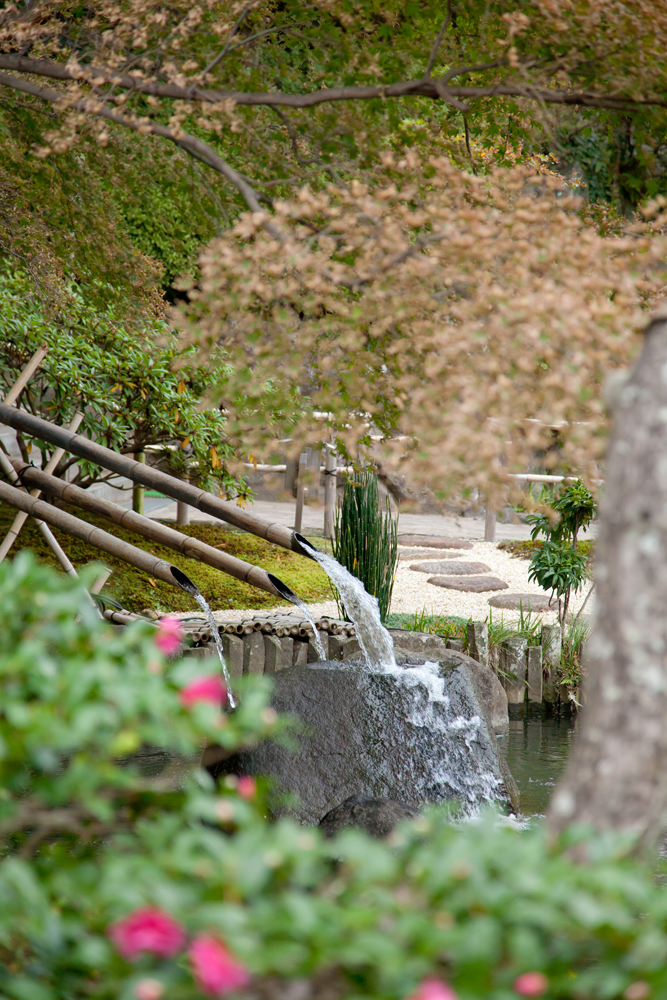 紅葉の庭園