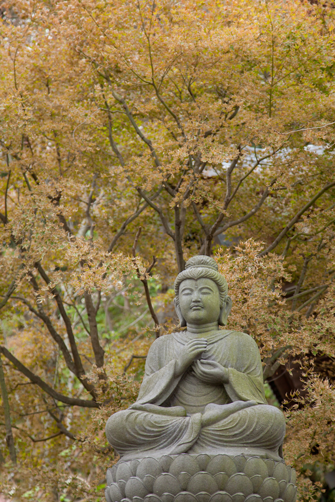 山寺の悟り