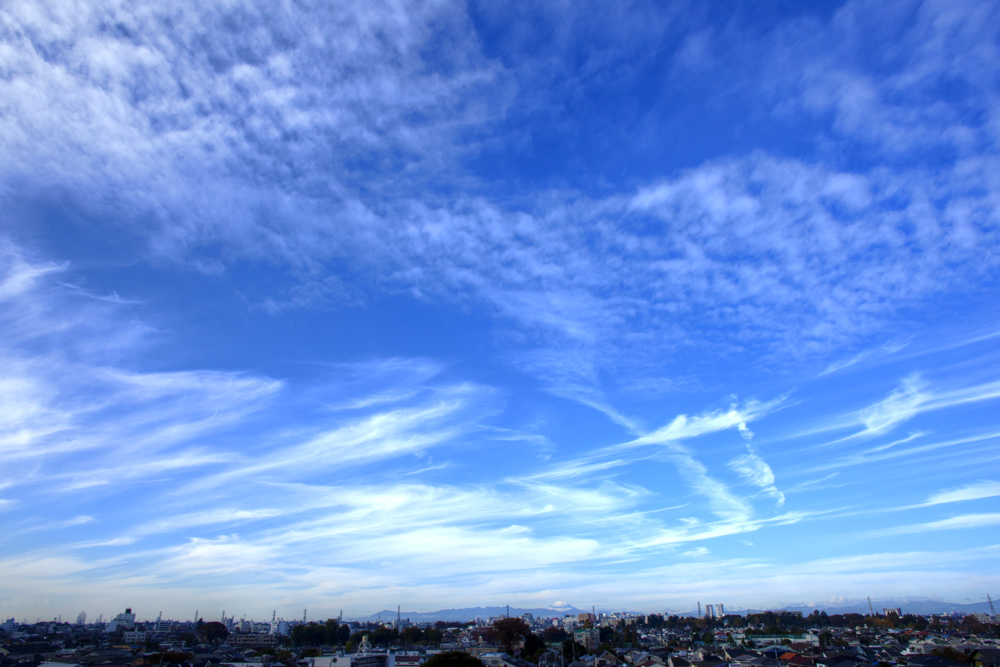 東京sora