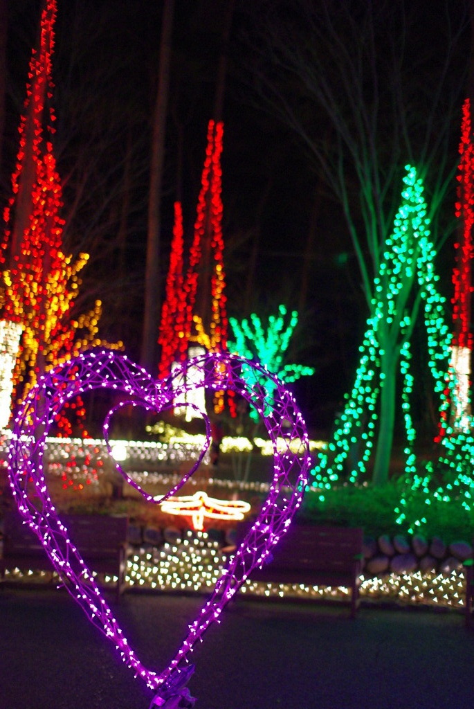 イルミネーション