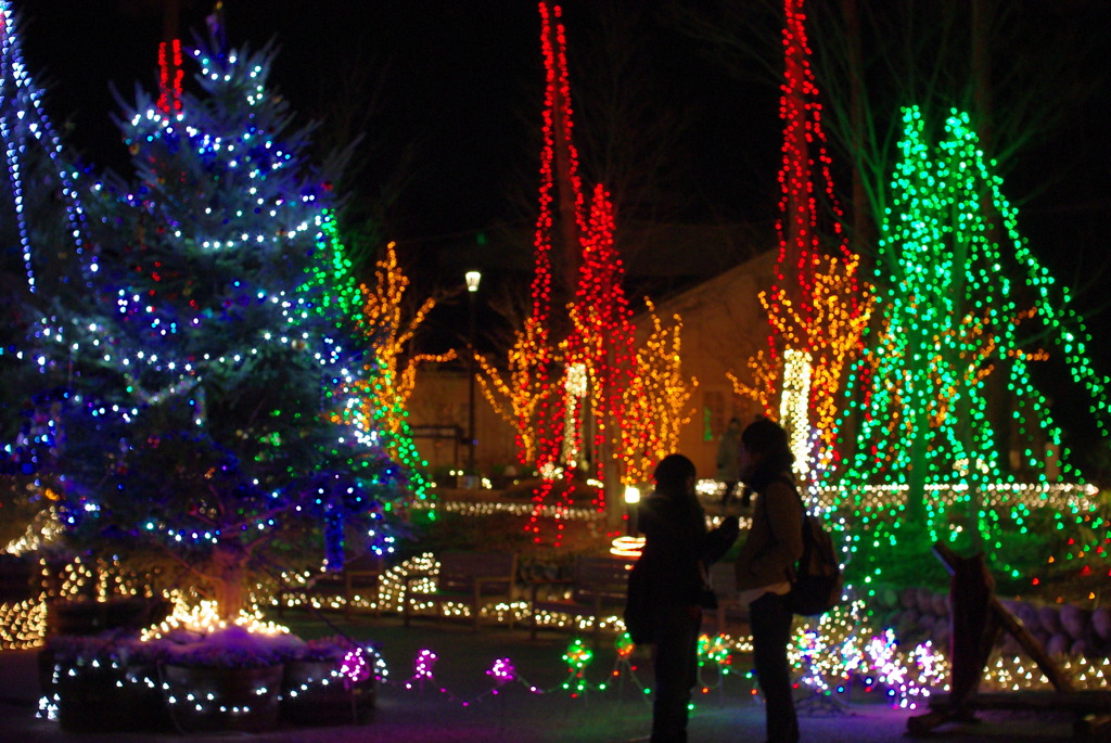 キレイにとれてるかなぁ？