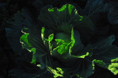 R0011237