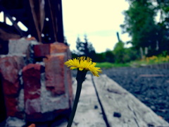 R0010503