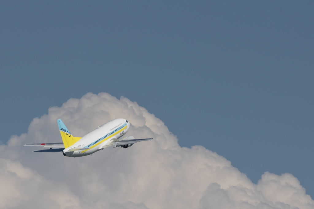 Fly to autumn