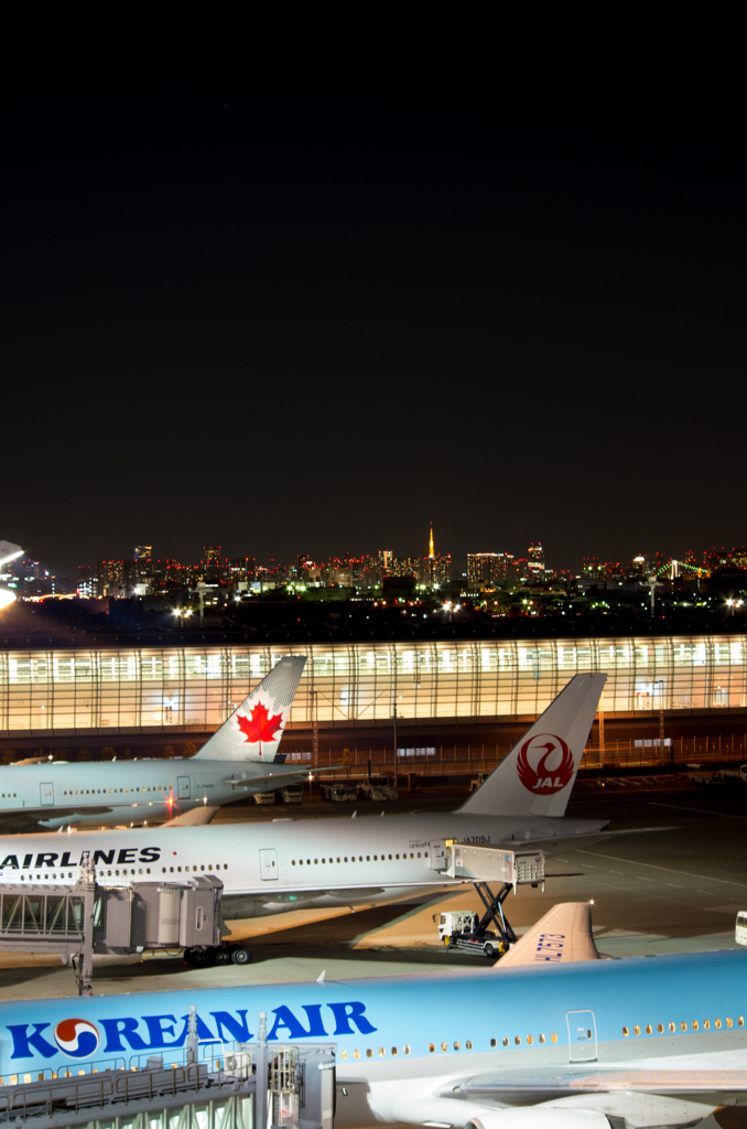 HANEDA City Airport