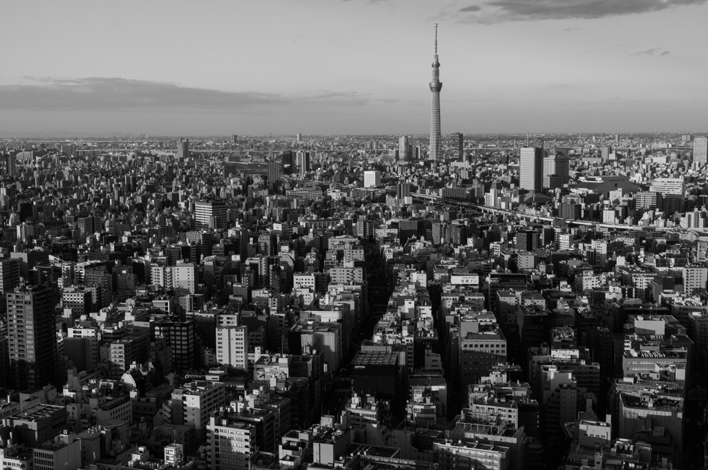 City of Tokyo