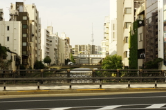 東京散策