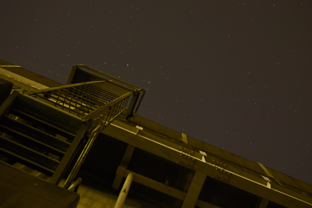 星が採れる梯子