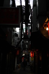 昼に良い酔い