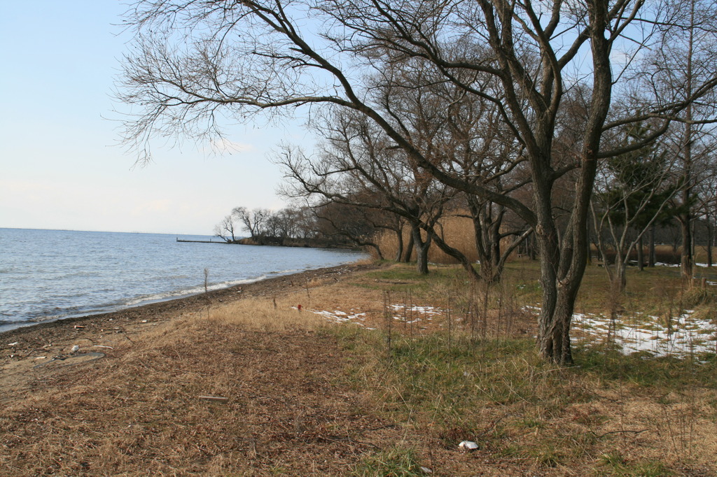 冬の湖岸