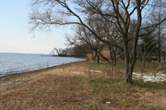 冬の湖岸