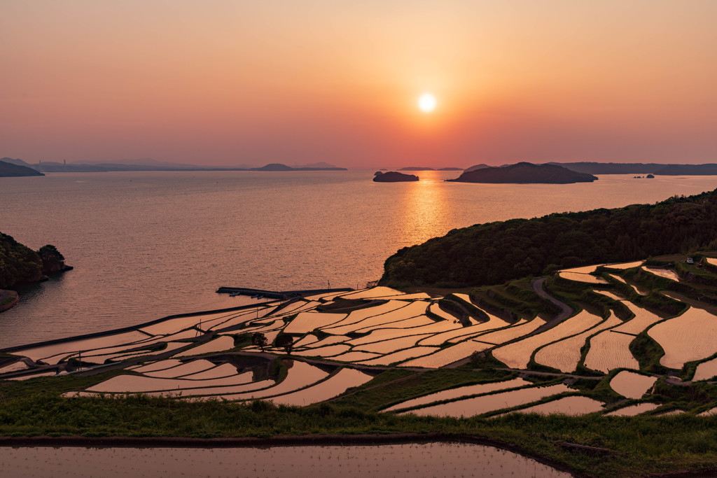 棚田の夕日