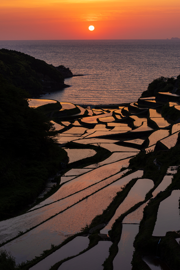 浜野浦の棚田