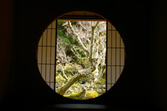 悟りの窓