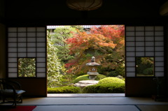 雲龍院の紅葉