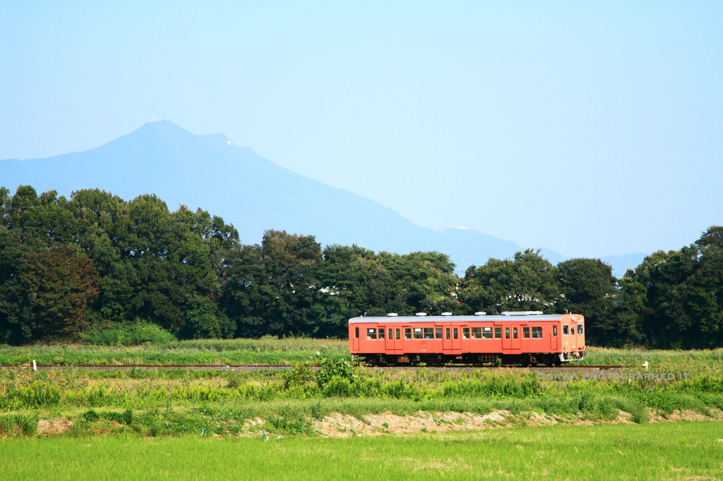 筑波山とたらこ
