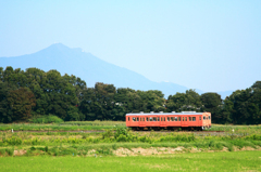 筑波山とたらこ