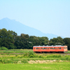 筑波山とたらこ