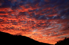 紅空