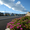 雲に乗りたいな・・・。