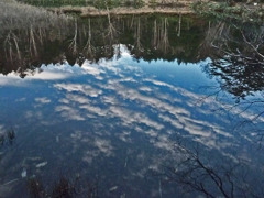 水面に映える