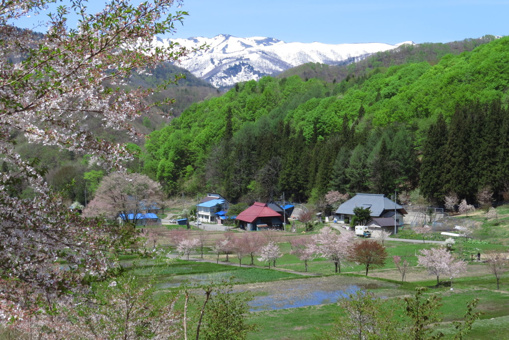 山里の春