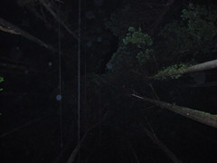 湿る