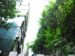 共生