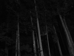 隔て