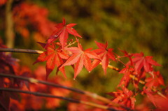 DSC00187