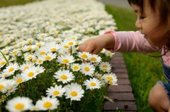 「花きれい！」と言いながら・・・