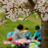 今年も一緒に…