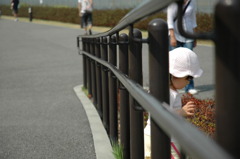 柵を越えて