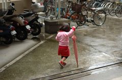 池乃めだか