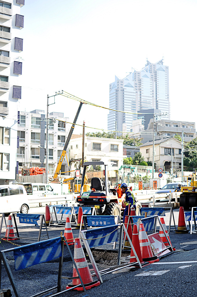 DSC_0028_20101110_028