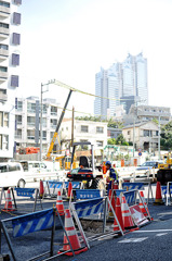 DSC_0028_20101110_028