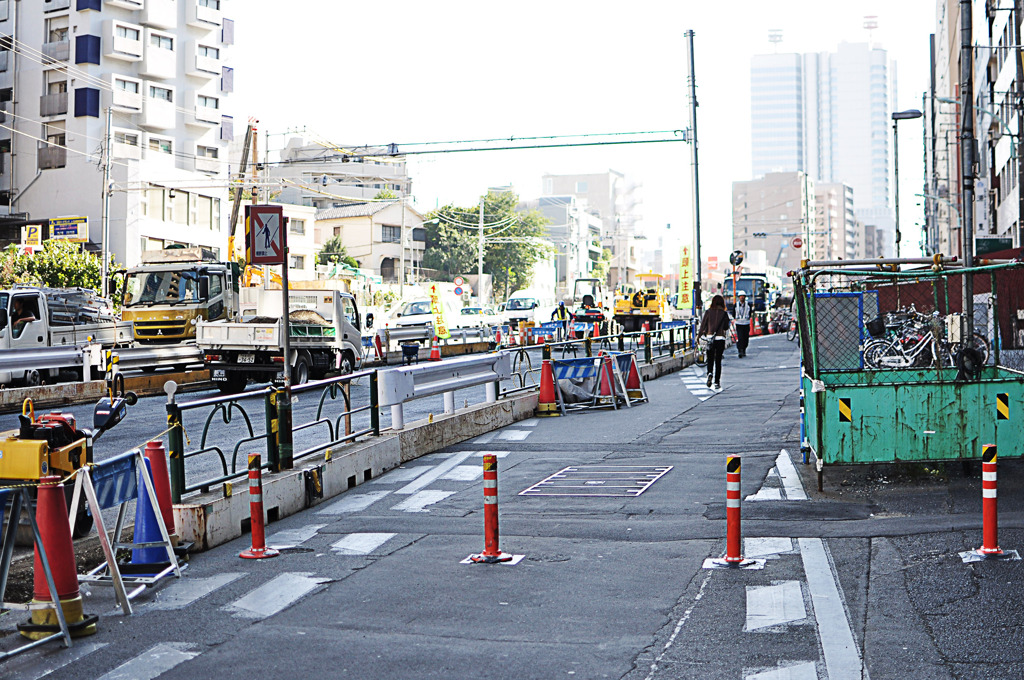 DSC_0027_20101110_027