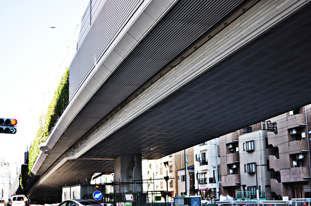 DSC_0030_20101110_030