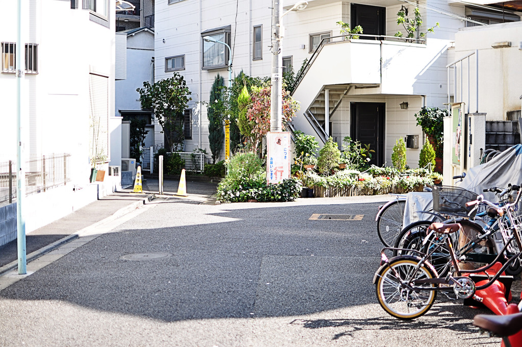 DSC_0022_20101110_022