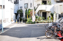 DSC_0022_20101110_022