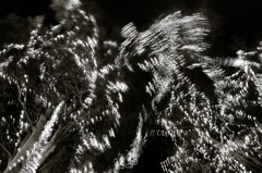 IMG_4043