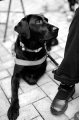 IMG_6755