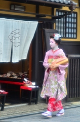 Gion #4