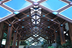 rhombus