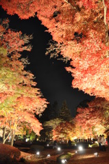 紅い夜空