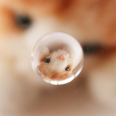 おねだり