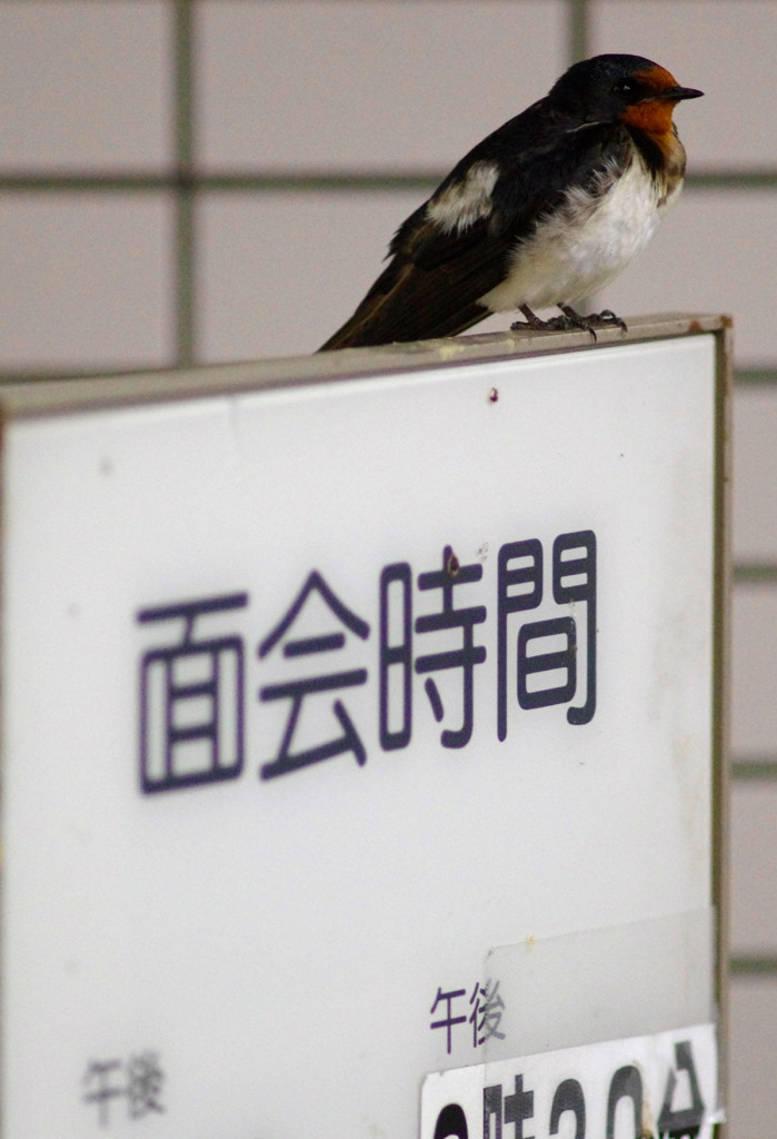 面会時間まで居座ろ〜