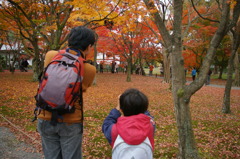 今年の写真（秋）