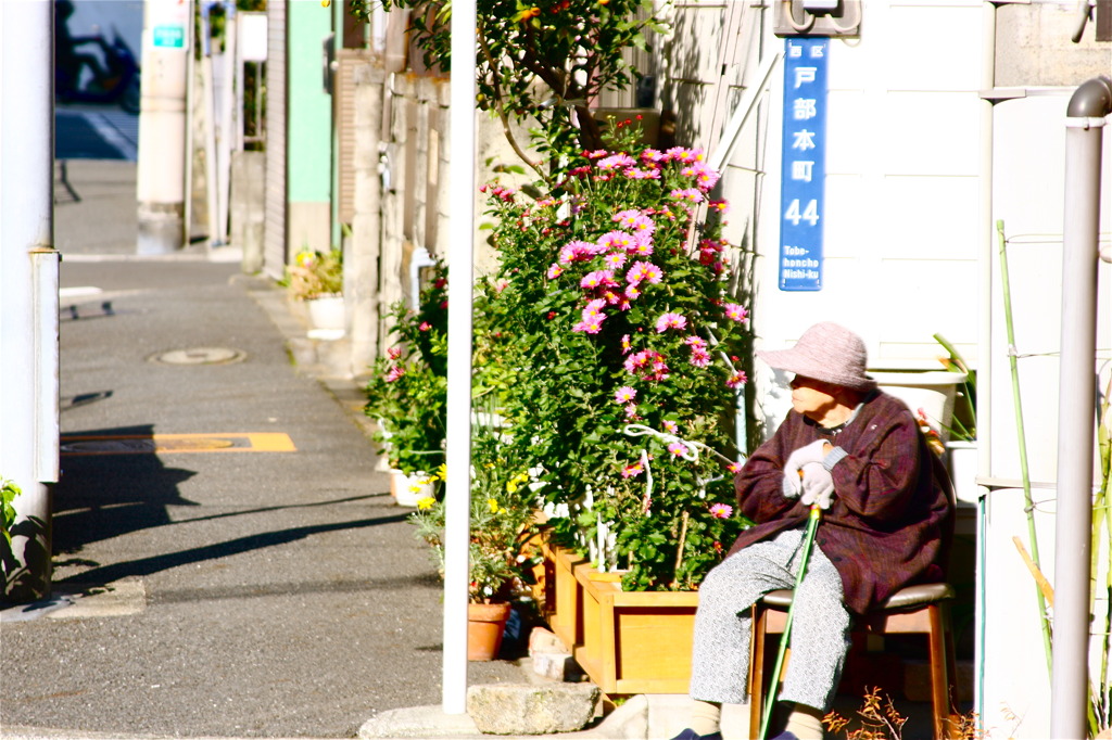 冬の日光浴